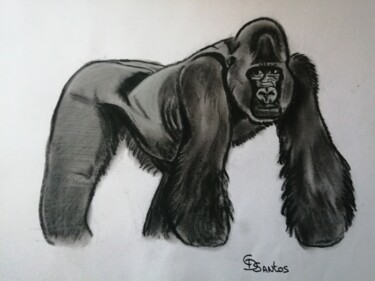 Dessin intitulée "gorille 1" par Christine Dos Santos, Œuvre d'art originale, Fusain