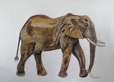 Desenho intitulada "éléphant 4" por Christine Dos Santos, Obras de arte originais, Lápis