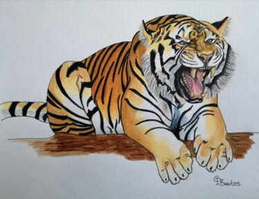 Desenho intitulada "tigre 2" por Christine Dos Santos, Obras de arte originais, Lápis