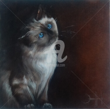 Painting titled "Chat" by Christine Jumelle, Original Artwork, Oil