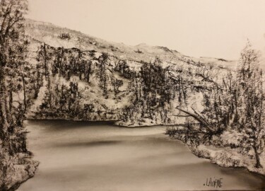 Painting titled "Noir et blanc" by Christine Lavialle, Original Artwork, Charcoal