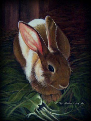 Drawing titled "sunny bunny" by Christine Mergnat, Original Artwork, Pastel