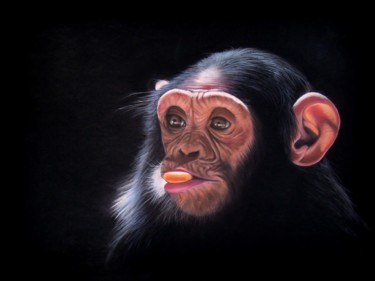 Pittura intitolato "sunny monkey" da Christine Mergnat, Opera d'arte originale, Pastello