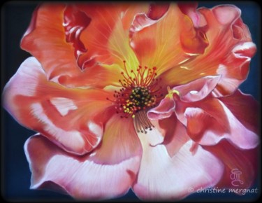 Painting titled "rose ancienne" by Christine Mergnat, Original Artwork, Pastel