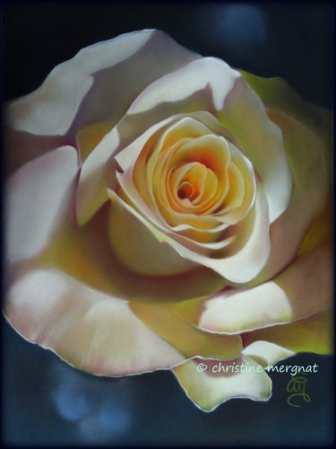 Painting titled "rose blanche" by Christine Mergnat, Original Artwork, Pastel