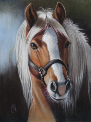 Peinture intitulée "Crin Blanc" par Christine Mergnat, Œuvre d'art originale, Pastel