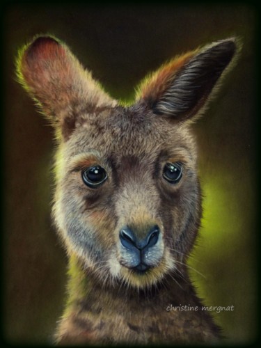 Картина под названием "australian guy" - Christine Mergnat, Подлинное произведение искусства, Пастель