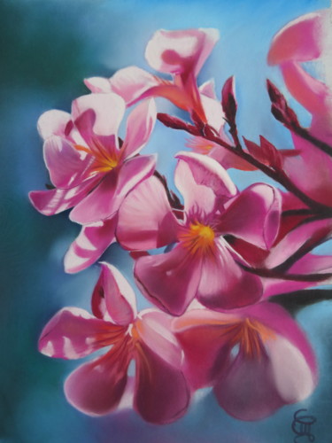 Painting titled ""fleurs de laurier…" by Christine Mergnat, Original Artwork, Pastel