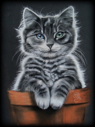 Peinture intitulée ""le chat rempoté" #…" par Christine Mergnat, Œuvre d'art originale, Pastel