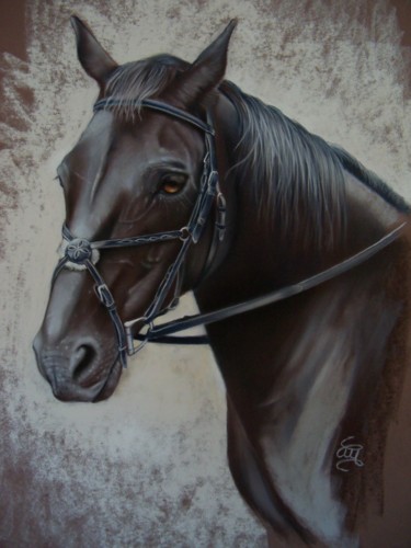 Pintura intitulada ""Black Jack"" por Christine Mergnat, Obras de arte originais, Pastel