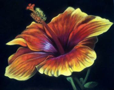 Peinture intitulée ""hibiscus"" par Christine Mergnat, Œuvre d'art originale, Pastel