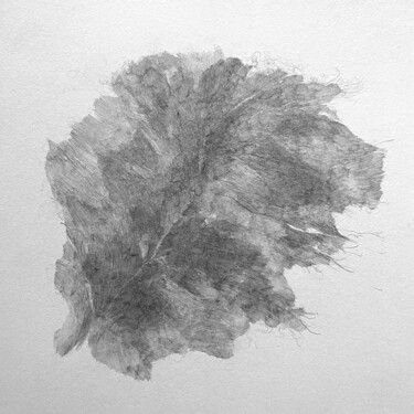 Drawing titled "blatt" by Christine Schön, Original Artwork, Pencil