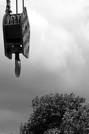 Photographie intitulée "grue" par Christine Vannier, Œuvre d'art originale