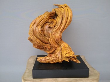 Skulptur mit dem Titel "20170109-123407.jpg" von Christine Hager, Original-Kunstwerk, Holz