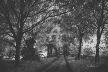 Fotografia zatytułowany „My paths” autorstwa Christof Bamberg, Oryginalna praca, Fotografia cyfrowa