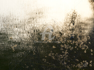 "Rainfarn stories" başlıklı Fotoğraf Christof Bamberg tarafından, Orijinal sanat, Dijital Fotoğrafçılık