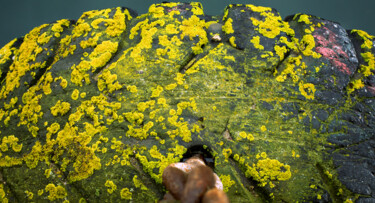 Photographie intitulée "PNEU ET FUNGUS JAUNE" par Christophe Chauprade, Œuvre d'art originale, Photographie numérique