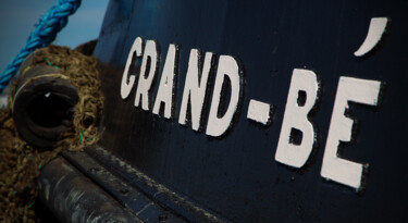 Photography titled "GRANDE BE DETAIL NOM" by Christophe Chauprade, Original Artwork, Digital Photography