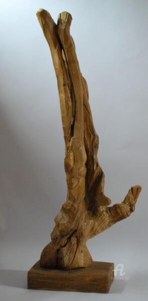 Sculpture titled "la trace de l'homme" by Christophe Lm, Original Artwork, Wood