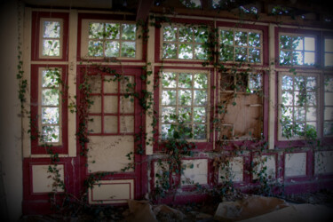 Photographie intitulée "la baie vitrée natu…" par Christophe Plousey, Œuvre d'art originale, Photographie non manipulée