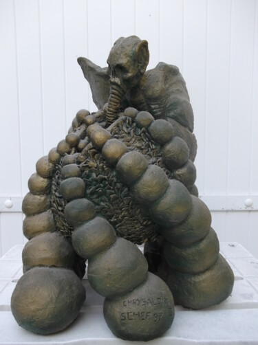 Skulptur mit dem Titel "chrysaloide" von Christophe Schaefer, Original-Kunstwerk, Terra cotta