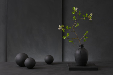 Fotografia zatytułowany „Prunus Domestica” autorstwa Christophe Verot, Oryginalna praca, Fotografia cyfrowa Zamontowany na A…