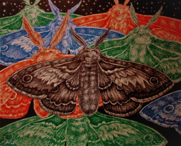 Drawing titled "Papillons de nuit" by Christophe Gol, Original Artwork, Ink