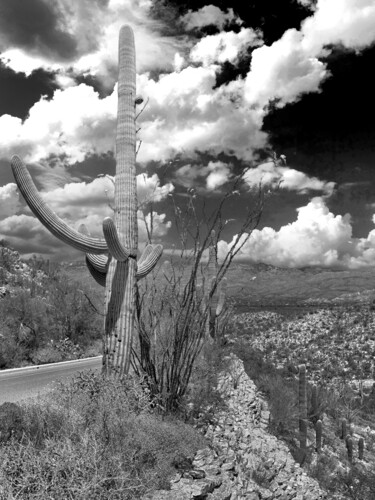 "The Arizona Desert…" başlıklı Fotoğraf Christopher L Smith tarafından, Orijinal sanat, Dijital Fotoğrafçılık