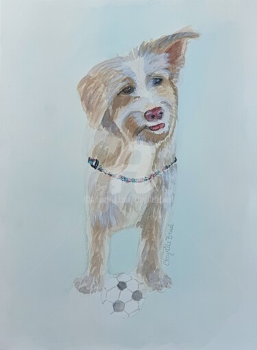 Painting titled "Bella" by Chrystèle Bruel, Original Artwork, Watercolor Mounted on Other rigid panel