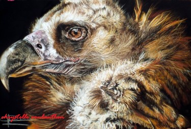 Dessin intitulée "vautour" par Chrystelle Vonlanthen, Œuvre d'art originale, Pastel