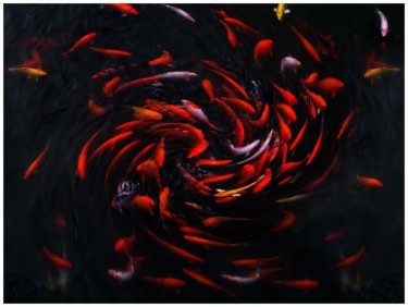 摄影 标题为“群鱼嘻水” 由Chunfang Yang, 原创艺术品