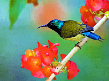 Digital Arts titled "Sunbird" by Chunfang Yang, Original Artwork