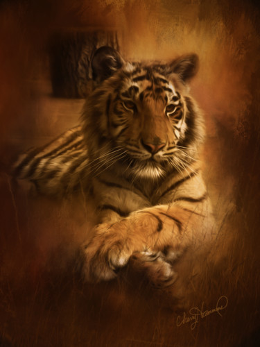 Artes digitais intitulada "Resting Tiger" por Cherry'S Artworks, Obras de arte originais, Foto Montagem