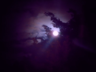 Photography titled "LUA" by Mary Priest, Original Artwork