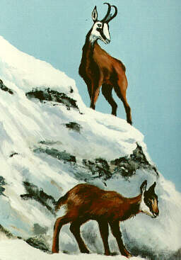 Peinture intitulée "snow" par Ciaghi Tiziana, Œuvre d'art originale