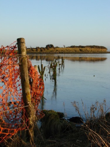 Photographie intitulée "Shannon Estuary" par Ciarán Ó Néill, Œuvre d'art originale