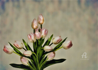 Digital Arts titled "Tulipa" by Ciezar, Original Artwork, Digital Painting