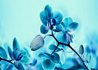 Artes digitais intitulada "Orquídeas azuis" por Ciezar, Obras de arte originais, Pintura digital