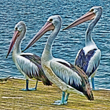 Digital Arts titled "3 pelicanos" by Ciezar, Original Artwork, Digital Painting