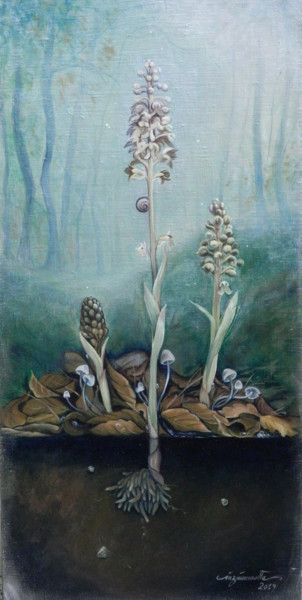 Painting titled "Neottia nidus-avis" by Cinzia Marotta, Original Artwork, Oil