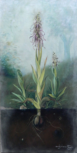 Peinture intitulée "Himantoglossum Hirc…" par Cinzia Marotta, Œuvre d'art originale, Huile