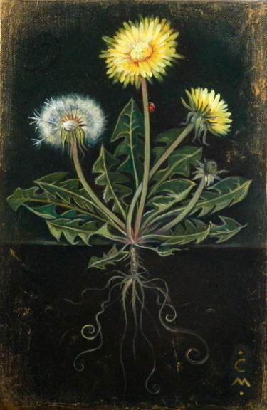 Painting titled "Taraxacum officinale" by Cinzia Marotta, Original Artwork, Oil