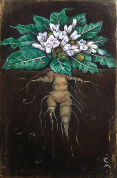 Painting titled "Mandragora officina…" by Cinzia Marotta, Original Artwork, Oil