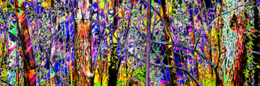 Digitale Kunst mit dem Titel "Broceliande  ( trip…" von Cj Perin, Original-Kunstwerk, Digitale Malerei