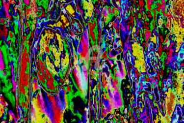 Arts numériques intitulée "La chute miraculeuse" par Cj Perin, Œuvre d'art originale, Peinture numérique