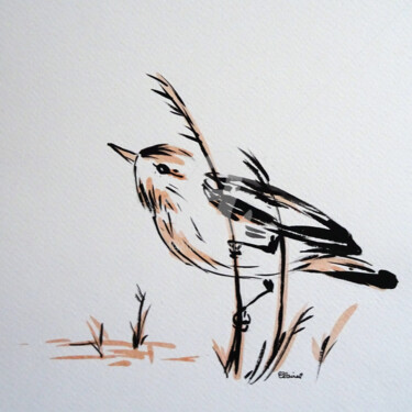 Dessin intitulée "oiseau encre 01" par Claire Arnoult, Œuvre d'art originale, Encre