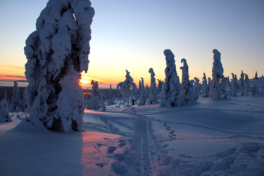 Fotografie getiteld "Sunset on Lapland" door Angie Black, Origineel Kunstwerk, Digitale fotografie