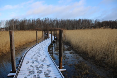 Fotografia intitulada "Chemin de neige" por Angie Black, Obras de arte originais, Fotografia digital