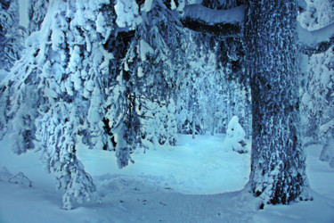 Fotografie getiteld "Winter Forest" door Angie Black, Origineel Kunstwerk, Digitale fotografie