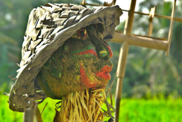 Photographie intitulée "Scarecrow" par Angie Black, Œuvre d'art originale, Photographie numérique